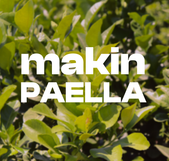 Makinpaella